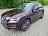 Audi SQ5 3.0 TDI competition tiptr.,exclusive,1 Hand, - Audi SQ5 in Hagen