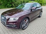 Audi SQ5 3.0 TDI competition tiptr.,exclusive,1 Hand, - Audi SQ5 mit Diesel-Antrieb: Allradantrieb, Geländewagen, Automatik