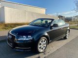 Audi A3  8P7 Cabriolet 2009 1.8 TFSI  - Audi Cabriolet: 2.8
