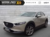 Mazda CX-30 G122 Selection 2WD ACC HUD 360° BOSE - Mazda CX-30 aus 2023