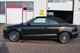 Audi A3 Cabriolet ambition ultra 1.Hand Alcantara - Audi A3: Braun