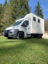 Fiat Kofferaufbau mit 66500 Km - Angebote