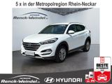 Hyundai Tucson Style 1.6 T-GDi Navi Mehrzonenklima Fahre - Hyundai TUCSON: Style