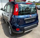 Fiat Panda Rock 4x4 Aluf./Klimaaut./Sitzheizung - Fiat Panda: 4.4
