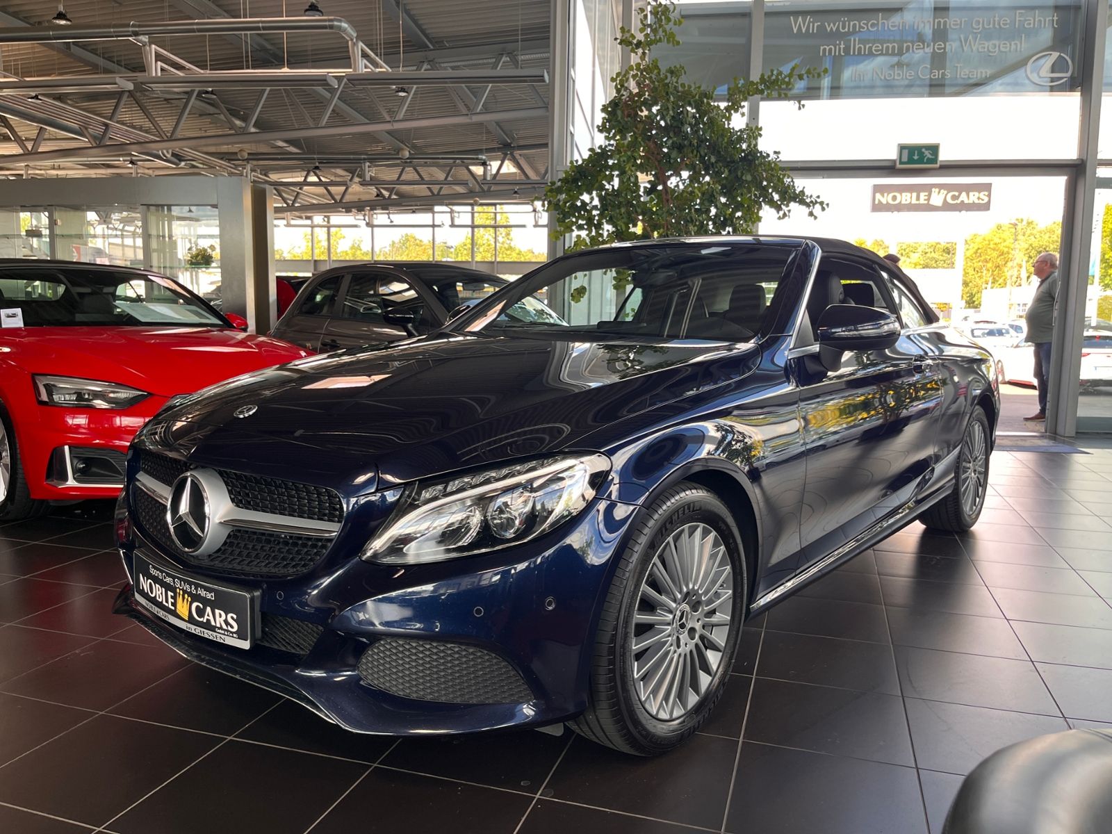 Fahrzeugabbildung Mercedes-Benz C 300 Cabrio  9G-TRONIC LED NAV SHZ PDC 17"