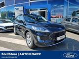 Ford Kuga Cool & Connect FHEV 4x4 Navi Winter Paket