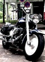 Harley-Davidson Fat Boy 2003 FLSTF - Angebote