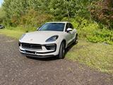 Porsche Macan S in Kreide, LED,360°-View,Panorama,STHZ - Porsche: Beige, Leder