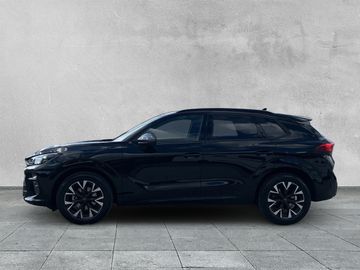 Cupra Terramar - 2