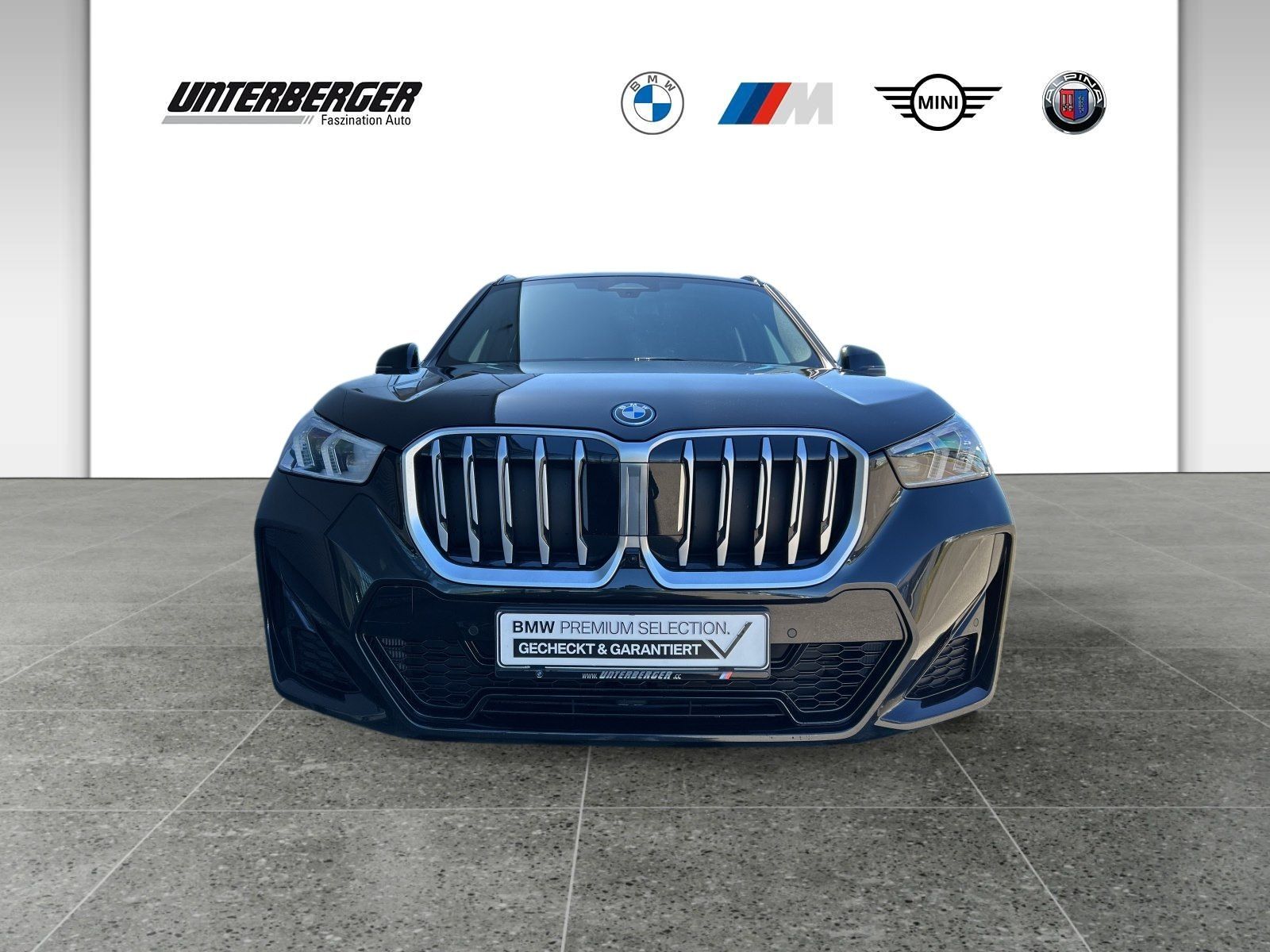 BMW X1 xDrive30e M Sport AHK Pano Ad. LED DA + PA+ H foto 2