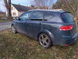 Seat Altea 1.8 TSI Sport Sport 19" Tieferlegung  - Seat Altea Sport mit Benzin-Antrieb