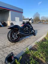Harley-Davidson REDUZIERT Night Rod Special VRSCDX BJ. 2013 - Offers matching your search criteria