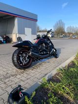 Harley-Davidson REDUZIERT Night Rod Special VRSCDX BJ. 2013 - HARLEY-DAVIDSON V ROD VRSC