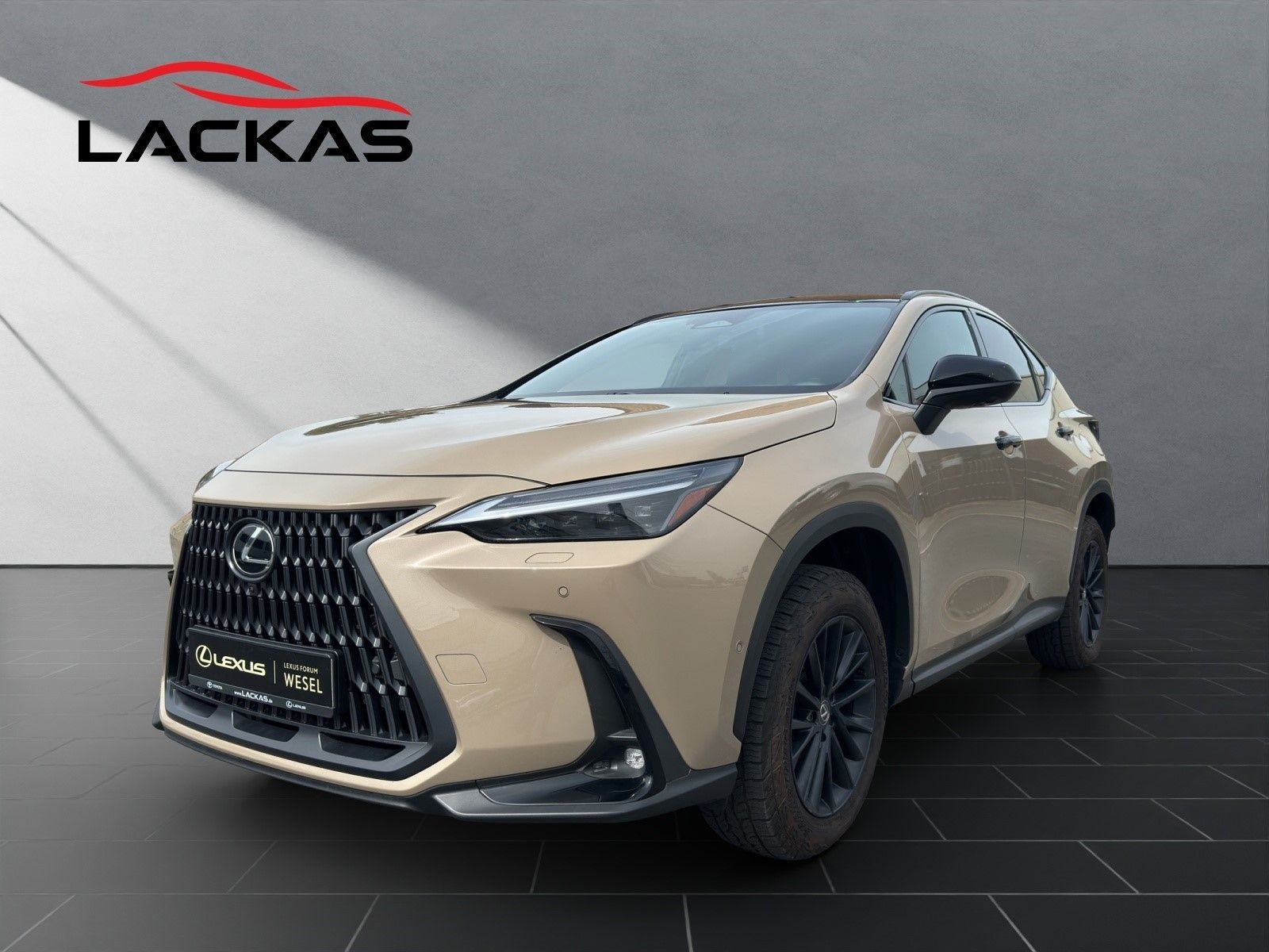 Lexus NX 350h - 1