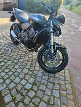 Honda Hornet 600 pc 41 - HONDA HORNET 600 PC41