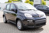 Fiat Panda 1.0 Firefly Hybrid mit CITY PAKET !!! - Fiat Panda: Fire