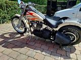 Harley-Davidson FXSTS - HARLEY-DAVIDSON FXSTS