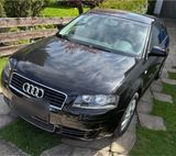 Audi A3 8P Alufelgen 2 Türer 125.000km mit... - Audi A3: Türer