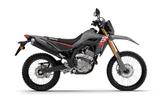 Honda CRF300 L / TZ - Januar 2026 !!