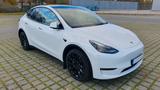 Tesla Model Y Long Rang 1. Hand 20" 8-fach bereift