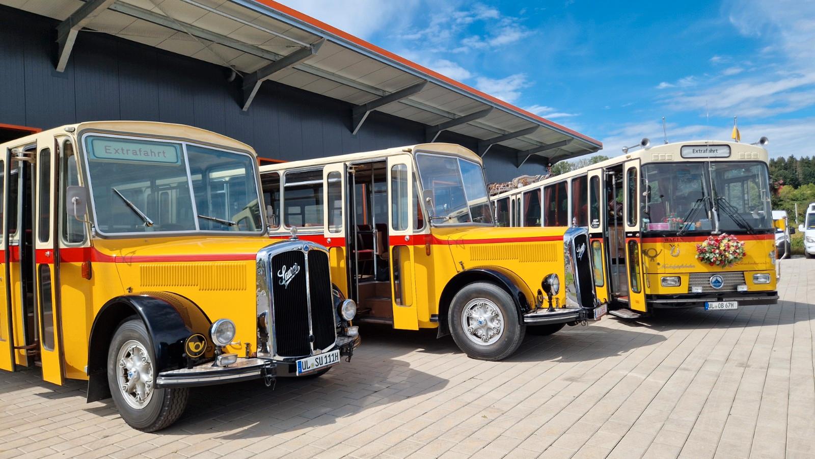 Andere Oldtimer Paket Saurer LC 4 und Volvo B 10 Lauber
