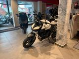 Honda CB1000 Hornet 2025  White *sofort verfügbar* - HONDA 1000