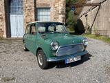 MINI Austin Mini 1000 - MINI 1000 Gebrauchtwagen