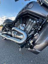 Harley-Davidson V-ROD Vrod Muscle VRSCF 5HD 2017 - HARLEY-DAVIDSON V ROD MUSCLE VRSCF