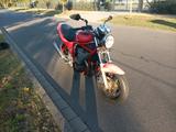 Suzuki Bandit N 600 - Angebote