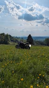 Yamaha MT 07 Pure - YAMAHA MT 07 PURE
