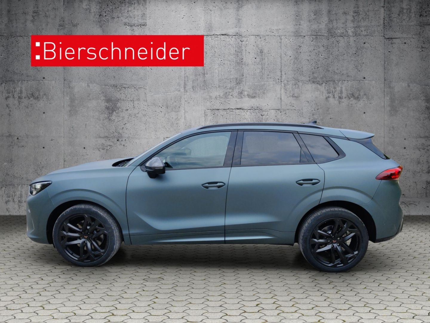 Cupra Terramar - Bild 3