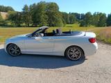 BMW M240i xDrive Cabrio -Ohne OPF, TÜV/Service neu - BMW M240i von privat