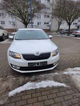 Skoda Octavia 1.6 TDI DSG Green tec Elegance  - Skoda Octavia mit Diesel-Antrieb: Limousine, 1.6