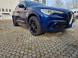 Alfa Romeo Stelvio 2.9 Bi-T. V6 375kW Quadrifoglio AT8-... - Alfa Romeo Stelvio Quadrifoglio mit Benzin-Antrieb