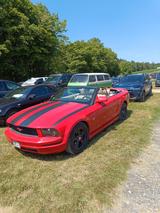 Ford Mustang - gebrauchte Ford Mustang aus dem Jahr 2008