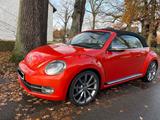 Volkswagen Beetle 2.0 TDI 110kW DSG BMT Excl. Design Cabrio - Volkswagen Beetle: TDI