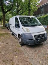 Fiat Ducato 250 L / Kastenwagen / Transporter - Fiat Ducato: Kastenwagen