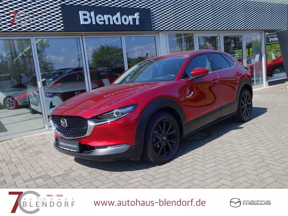 Mazda CX-30 Selection 150 Allwetter Navi|MatrixLED|Kam