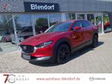 Mazda CX-30 Selection 150 Allwetter Navi|MatrixLED|Kam - Mazda CX-30 in Essen