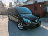 Mercedes-Benz Mercedes -Benz, V250 Avantgarde LUXUS EDITION - Mercedes-Benz Luxus