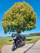Kawasaki Er6f  - KAWASAKI ER6F