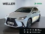 Lexus NX 450h+ E-FOUR Business Line *LED*KAMERA°*ACC*N