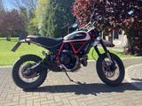 Ducati Scrambler Desert Sled