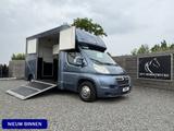 Citroën Jumper | HORSETRUCK | OPBOUW 2023 | COMPETITION - Citroën Abschleppwagen