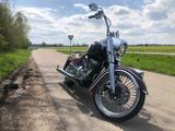 Indian Chief custom  - INDIAN CHIEF