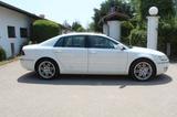 Volkswagen Phaeton 3.0 V6 TDI 4MOTION Edition 6 - Volkswagen Phaeton: Weiß