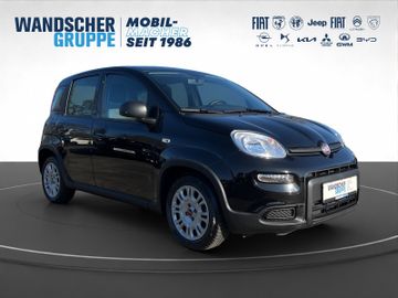 Fiat Panda Hybrid 1.0 GSE Klma+DAB+Isofix+Allwetter