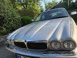 Jaguar XJ Executive 3.2 Executive - Jaguar XJ aus 2000