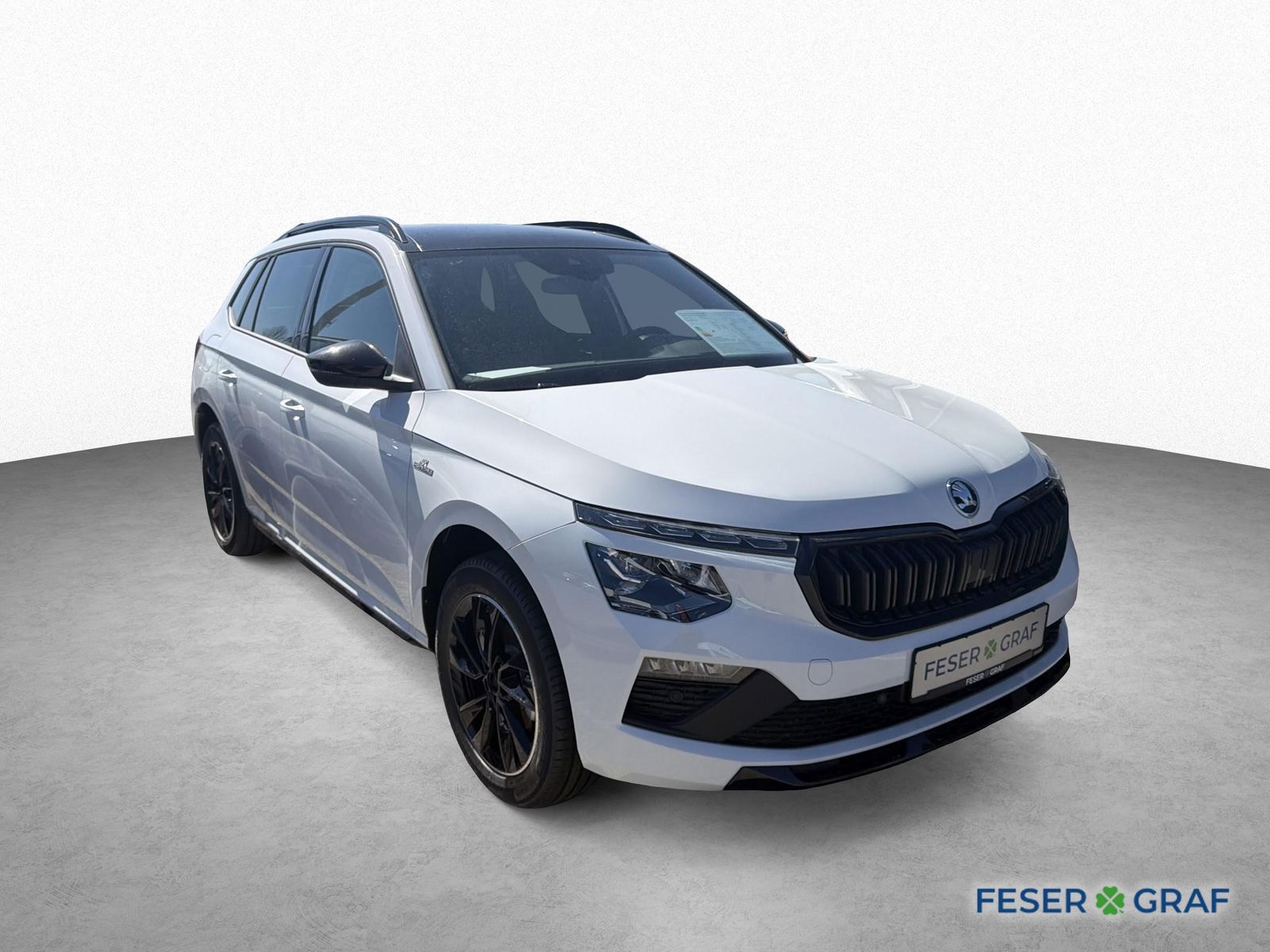 Skoda Kamiq - Bild 3
