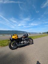 Triumph Bonneville Speedmaster  - TRIUMPH SPEEDMASTER